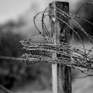 On Down the Line